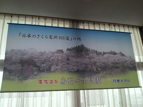 烏帽子山公園千本桜タペストリー飾りました