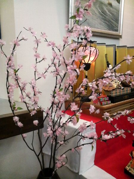 今年も繭(まゆ)桜飾りました