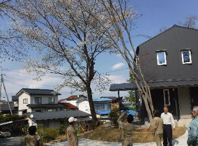 【郡山市富久山・ドミノＹ邸 】 引渡し日、庭の桜が満開でお出迎え