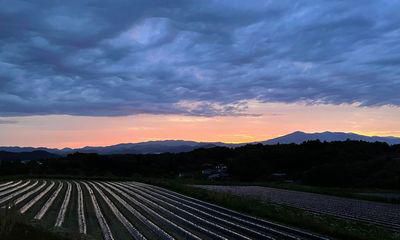 里山日記･･･夕暮れ