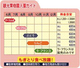 天童フルーツ