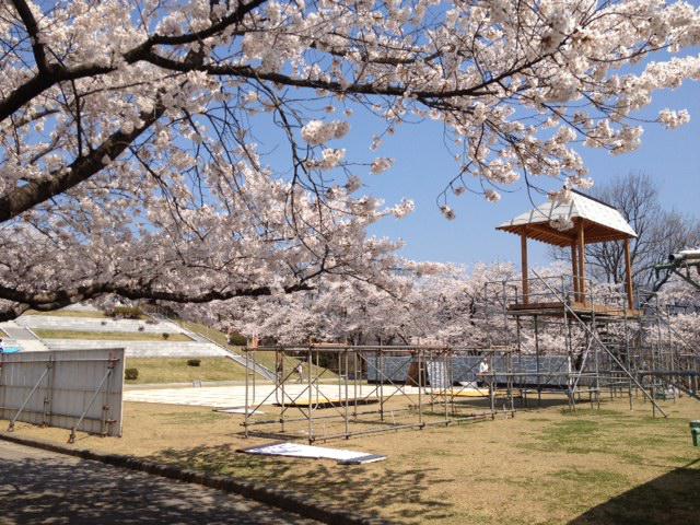 春爛漫！お花見スポット「舞鶴山」が桜満開★