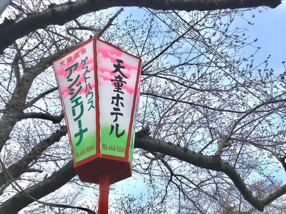天童桜の名所「舞鶴山」開花予想！