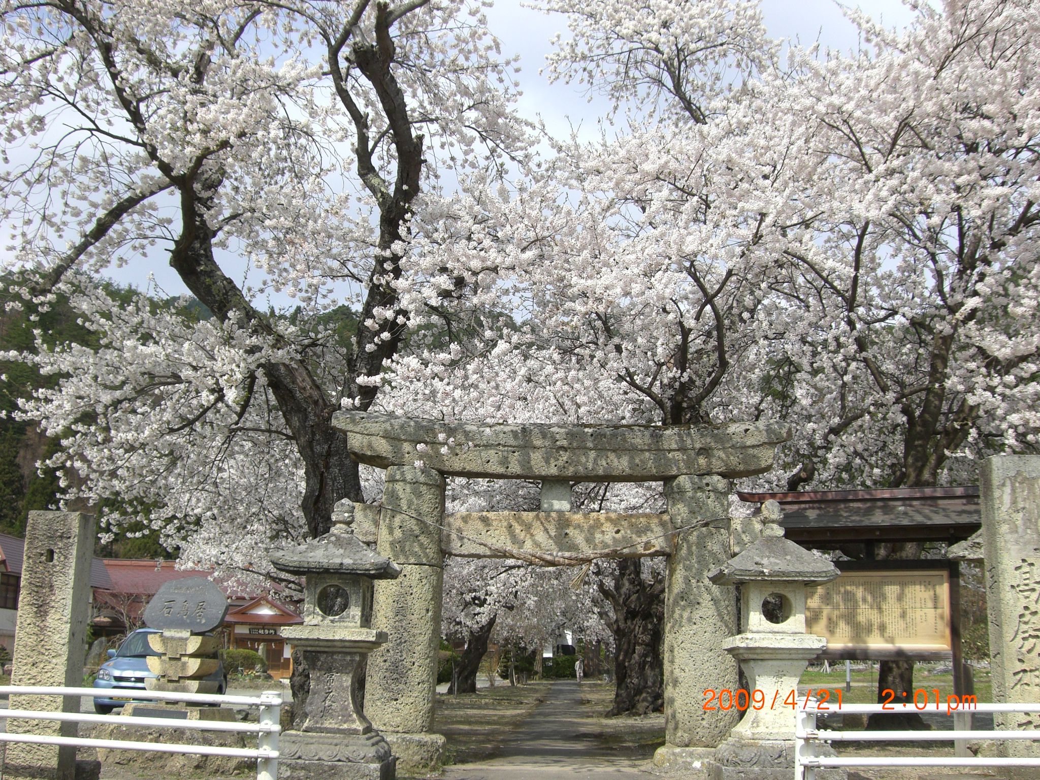 ◆まほろばの里桜回廊　　高房神社／：／：