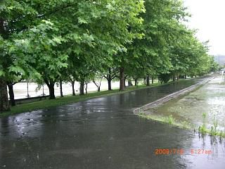 ◆雨の中央公園　　＠＠＠＠