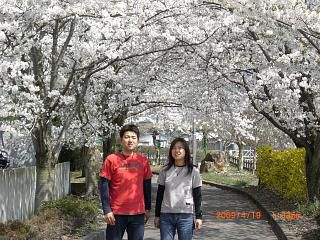 ◆まほろばの里『桜の名所』011　＠＠＠