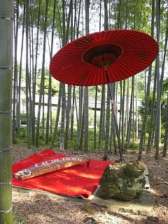 ◆竹やぶの赤の番傘と琴の風景　　＠＠＠