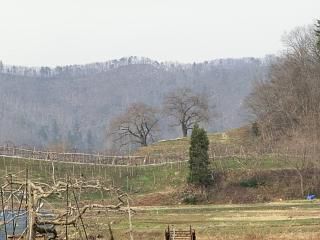 ◆まほろばの里風景　　　峰岸山の桜　　　＠＠＠