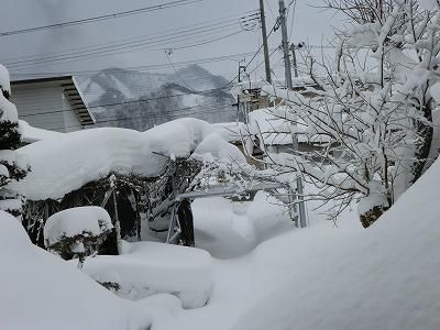 ◆大雪が続いています。◆