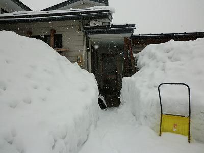 ◆一週間のご無沙汰でした。◆