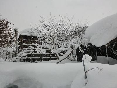 ◆最強寒波襲来の後◆