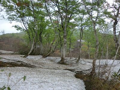 ◆豪士山登山ガイド◆