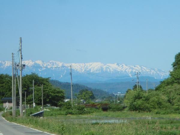 ◆本日はさわやかな晴天◆