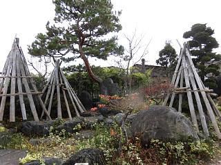 ◆雪囲いほぼ完了◆