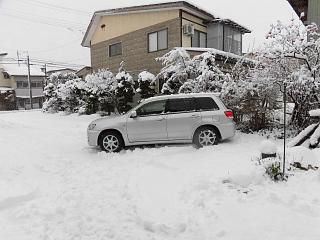 ◆ようやく恵みの雪です。◆