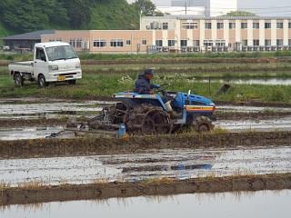 ◆高畠は田植えの真っ最中です。◆