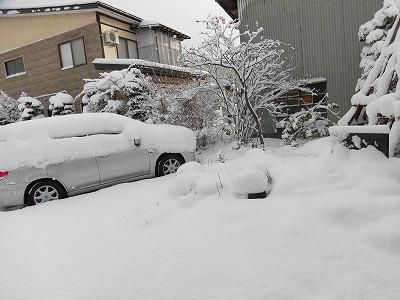 ◆今年初めてのまとまった積雪です。◆