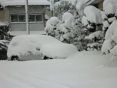 ◆豪雪の12月◆