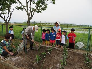 みんなの畑に野菜の苗を植えました！