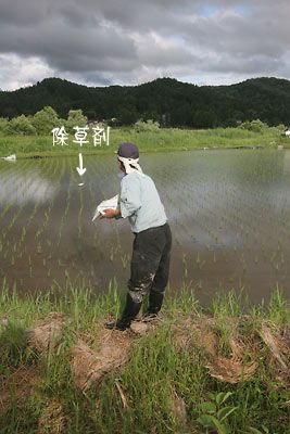 特別栽培米～除草剤