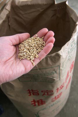 米づくり　2011　種籾準備
