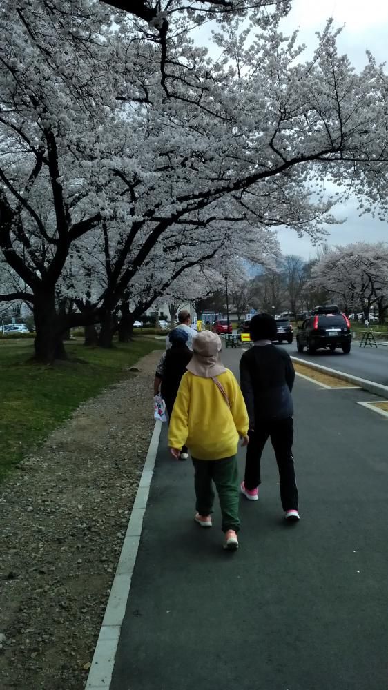 お花見に行って来ました！！　～令和5年度始動～