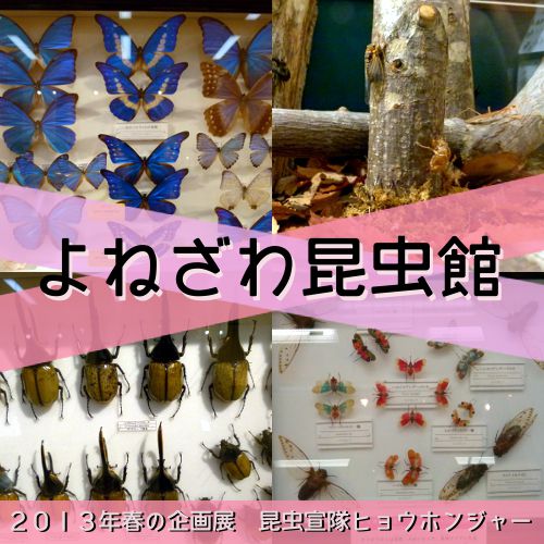 昆虫宣隊ヒョウホンジャー好評開催中【米沢市】よねざわ昆虫館