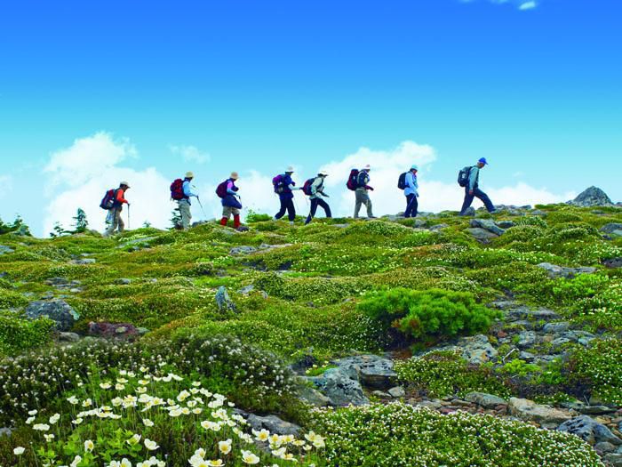 Nishiazuma Mountain and Mountain Day Citizen Trekking on August 11 (Sunday)!