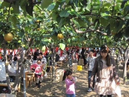 ※イベントのご案内です！　　２０１１ 「梨もぎ取り祭」開催のお知らせ♪