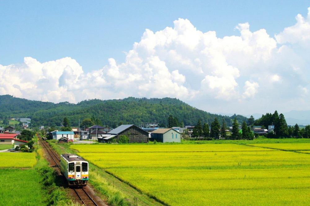 第１回フラワー長井線　オンライン乗車ツアー　開催のお知らせ