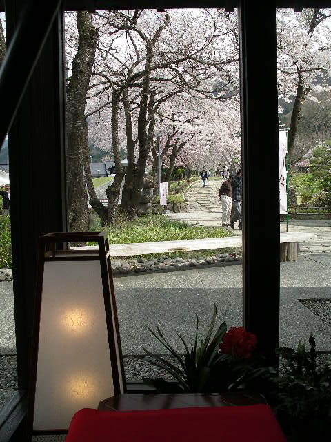 山寺風雅の国の桜を愛でながら・・・