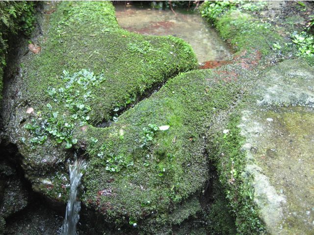 山寺の参道～姥堂（うばどう）付近の清流