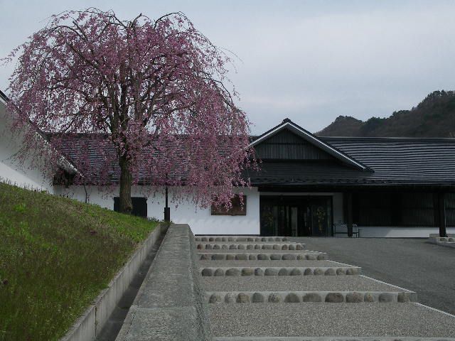 後藤美術館の枝垂れ桜
