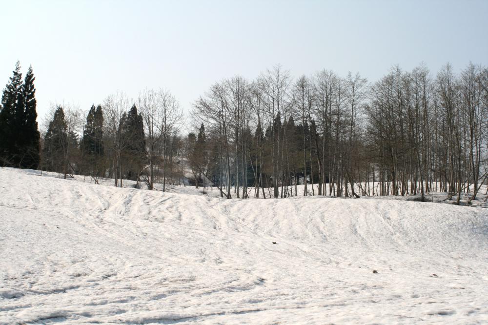 NO1　スノーシューで雪山散歩，かた雪散歩