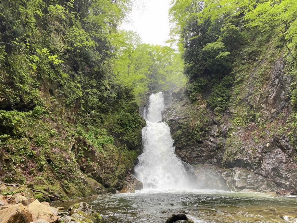 The Path to Shirabu Falls has Reopened!（한국어・简体中文）