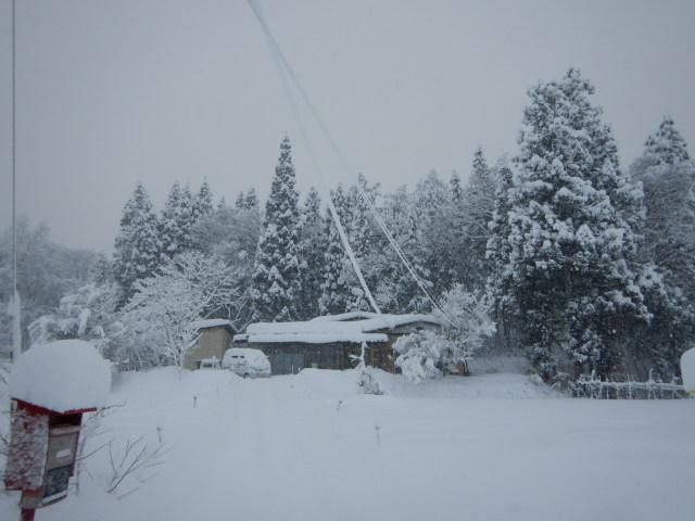 １月２４日（水）大雪