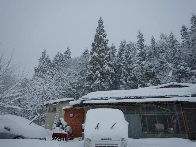 2月2日（土）雪