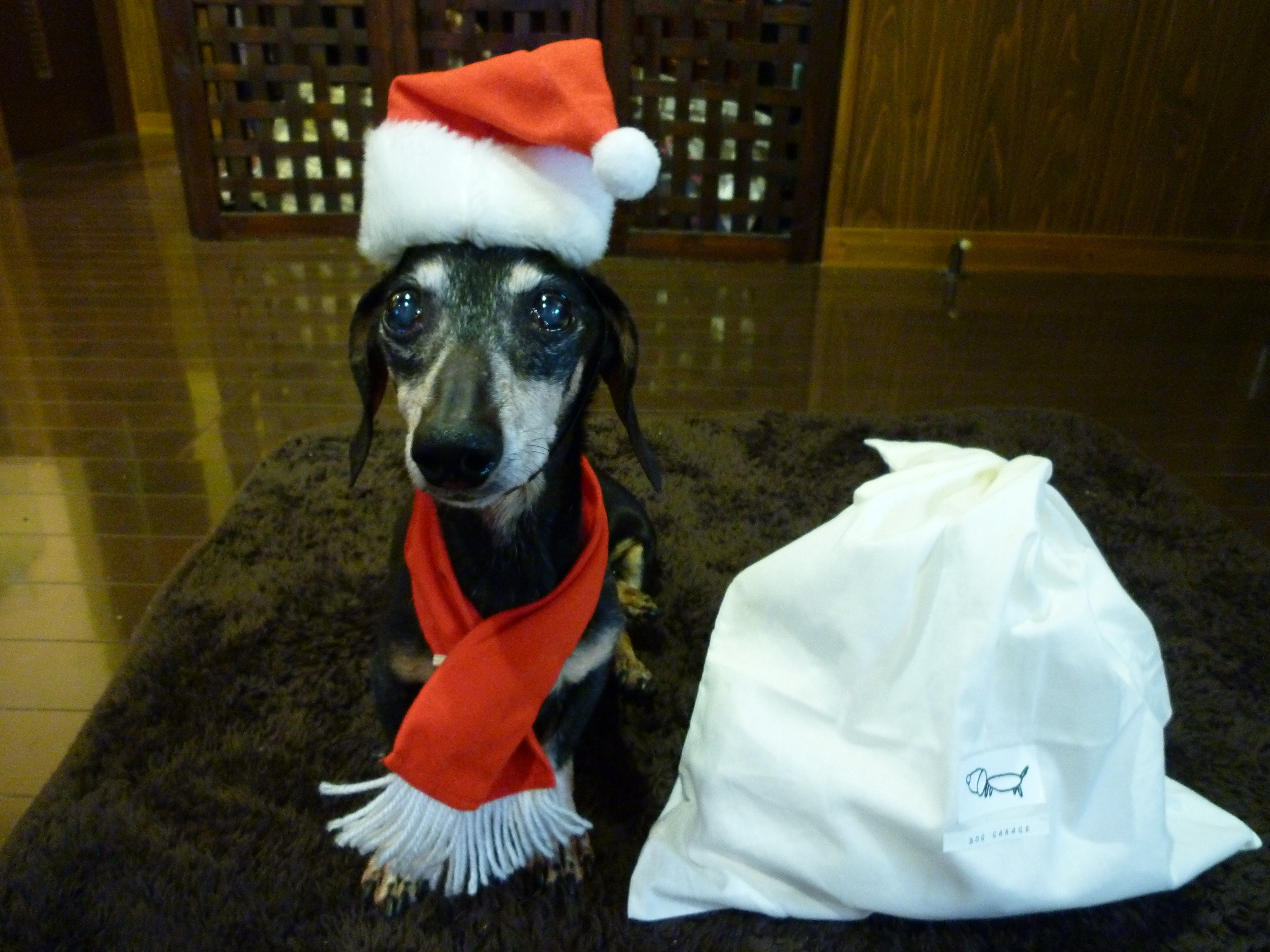 2010/12/24 01:54 ����ǯ�ܤΥ��ꥹ�ޥ� �ޤ���ˤϥץ쥼��Ȥ����ä�..