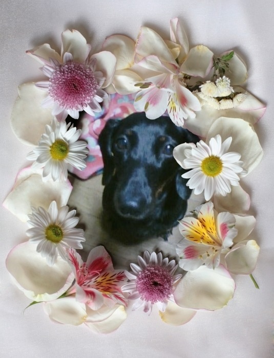 2011/01/04 18:48 ���ν�������ɥå��ա��ɤ������Ȥ������ä����Ǥ�..