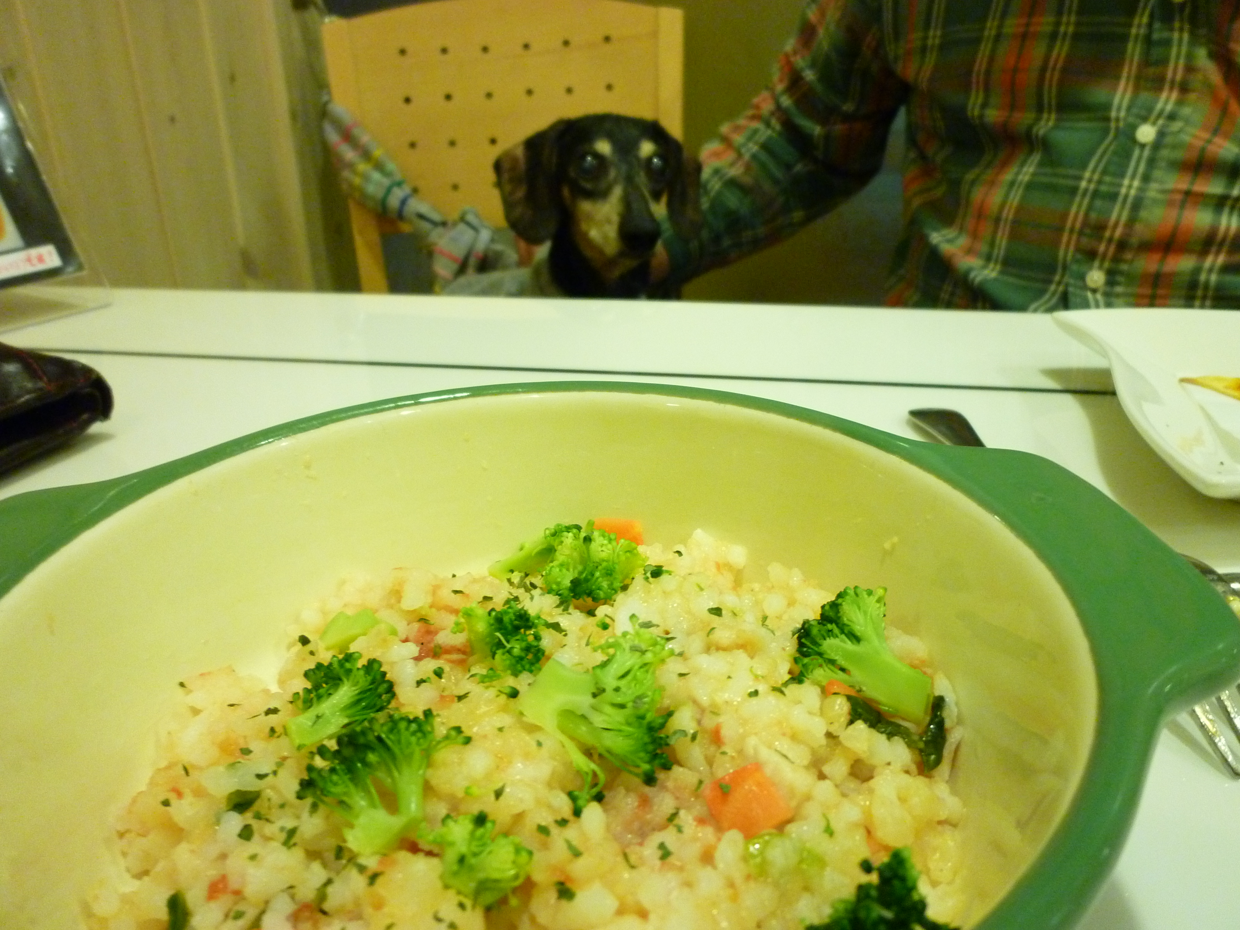 2011/01/14 23:51 ̣����Ĺ�Υ٥�ȥɥå����ե��˹Ԥ��ޤ���