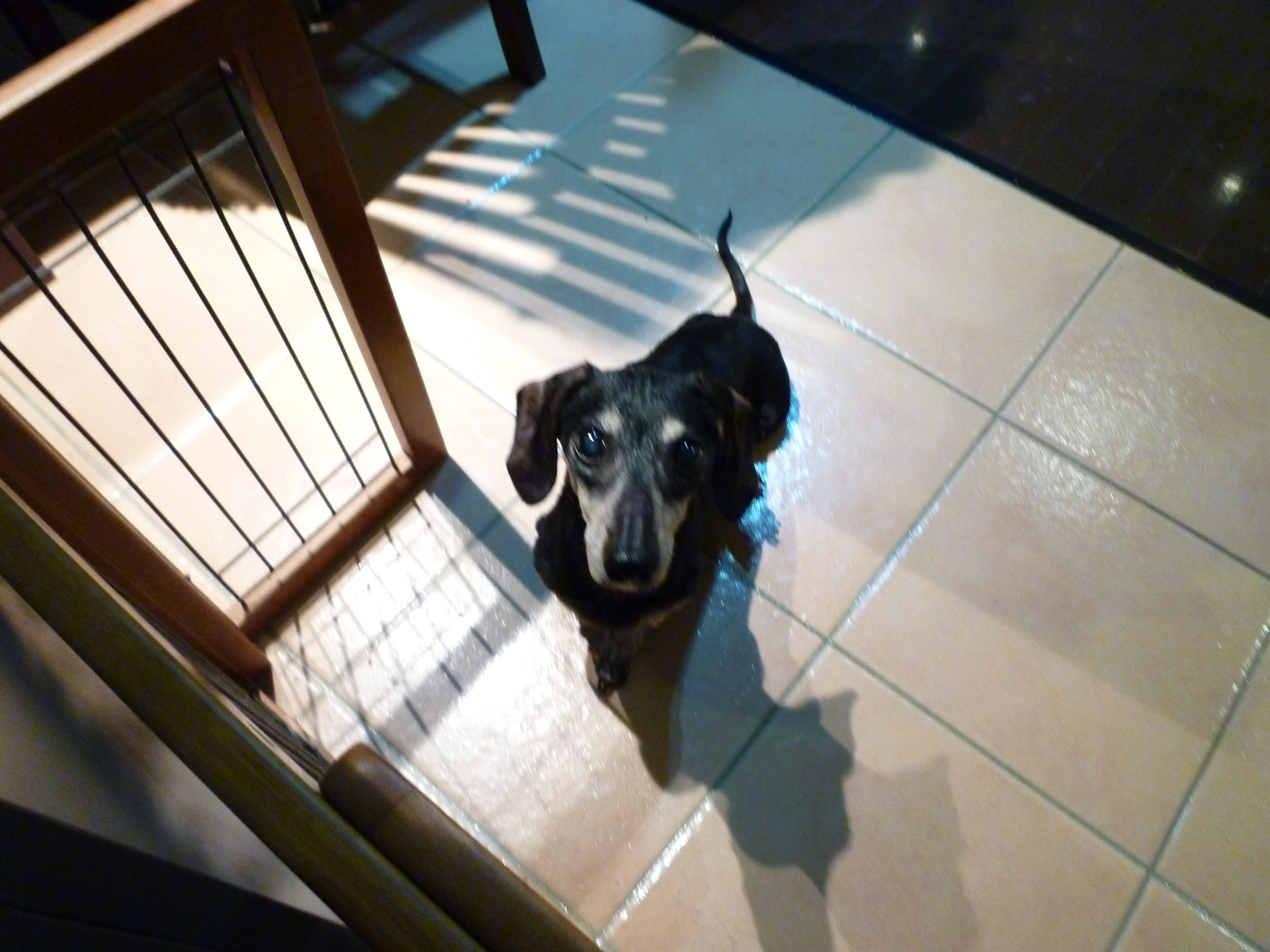 2011/01/16 02:43 �����⣱���λŻ��������Ȥ˵����뤴�ӤǤ�