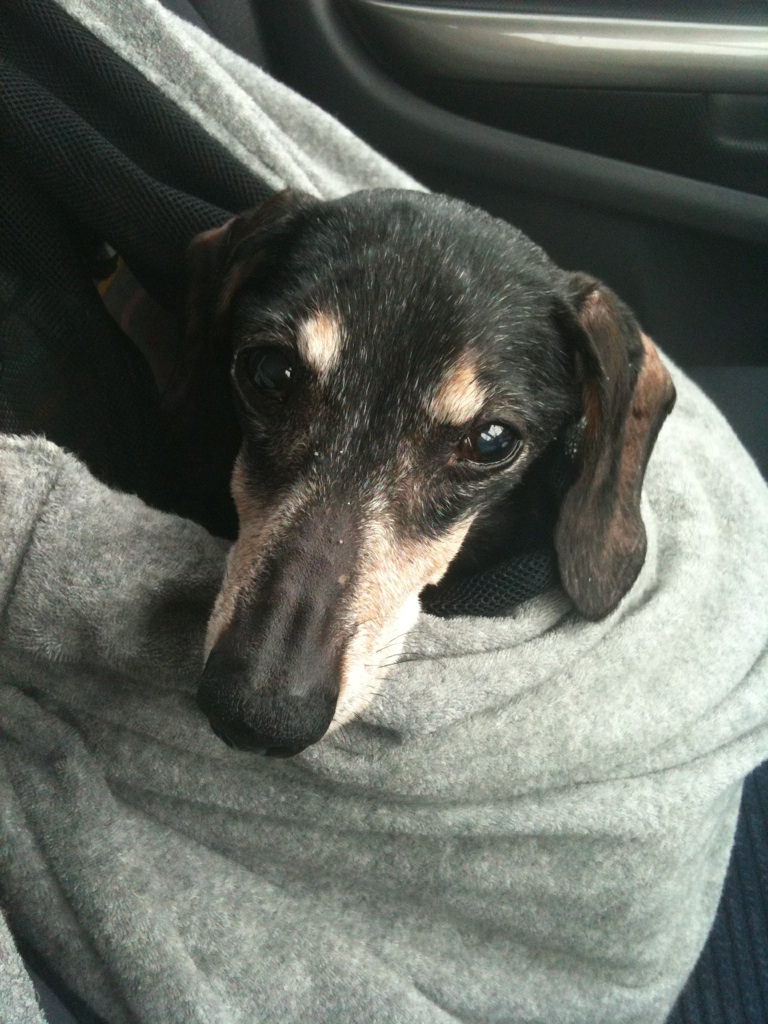 2011/01/17 10:21 ���������Ǥ�