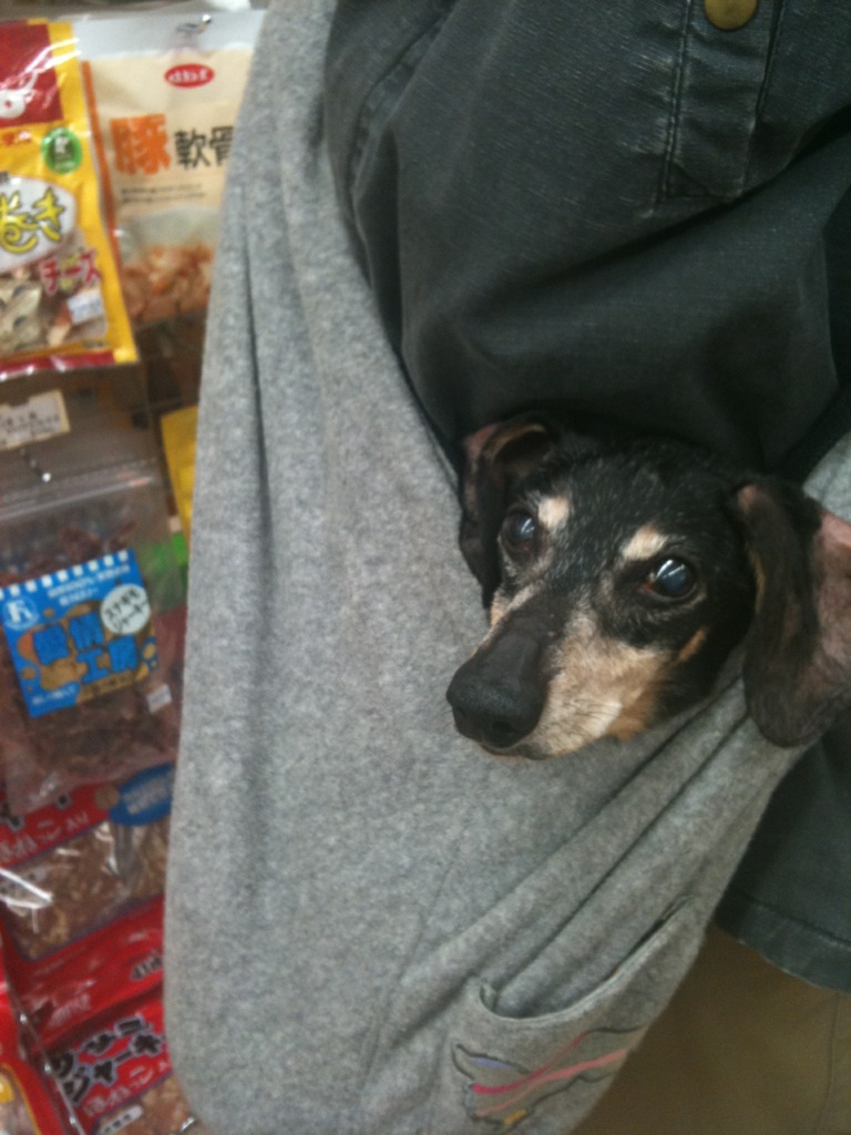 2011/01/25 21:55 ���ѤΤ��Ǥ󡢥ȥޥ���⤢��ޤ���