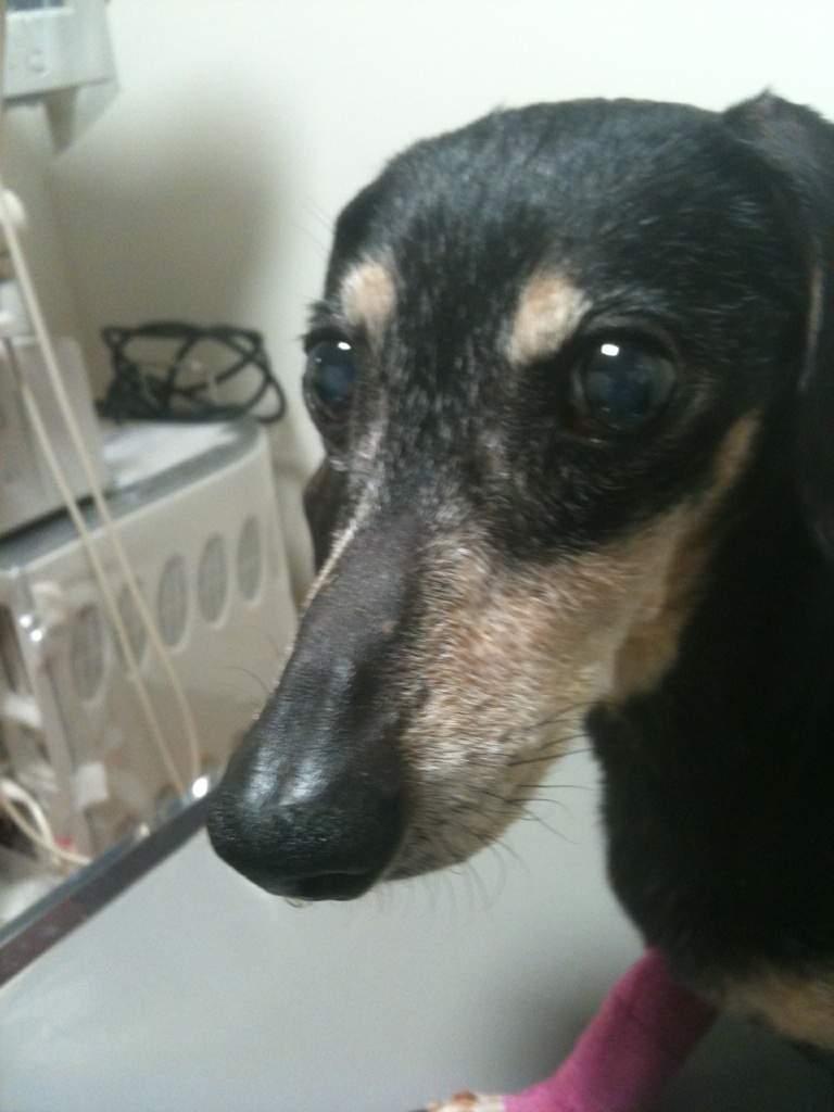 2011/01/26 23:45 �⤦ȯ�¤��ƣ�ǯȾ���դ��礤�������񤷤��µ��Ǥ�