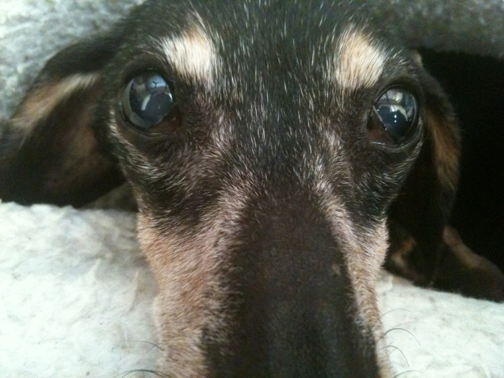 2011/04/13 19:49 �Ƕᡢ���ִ򤷤��ä���