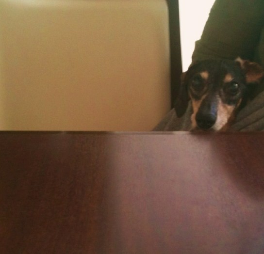 2011/08/25 21:03 �٥�ȣ��ͤǥ����򿩤٤ޤ�����