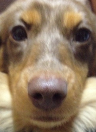 �֣�og ��arage�����1����ˤʤä����祳���פβ���