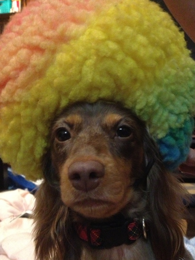 �֥��ե����פβ���