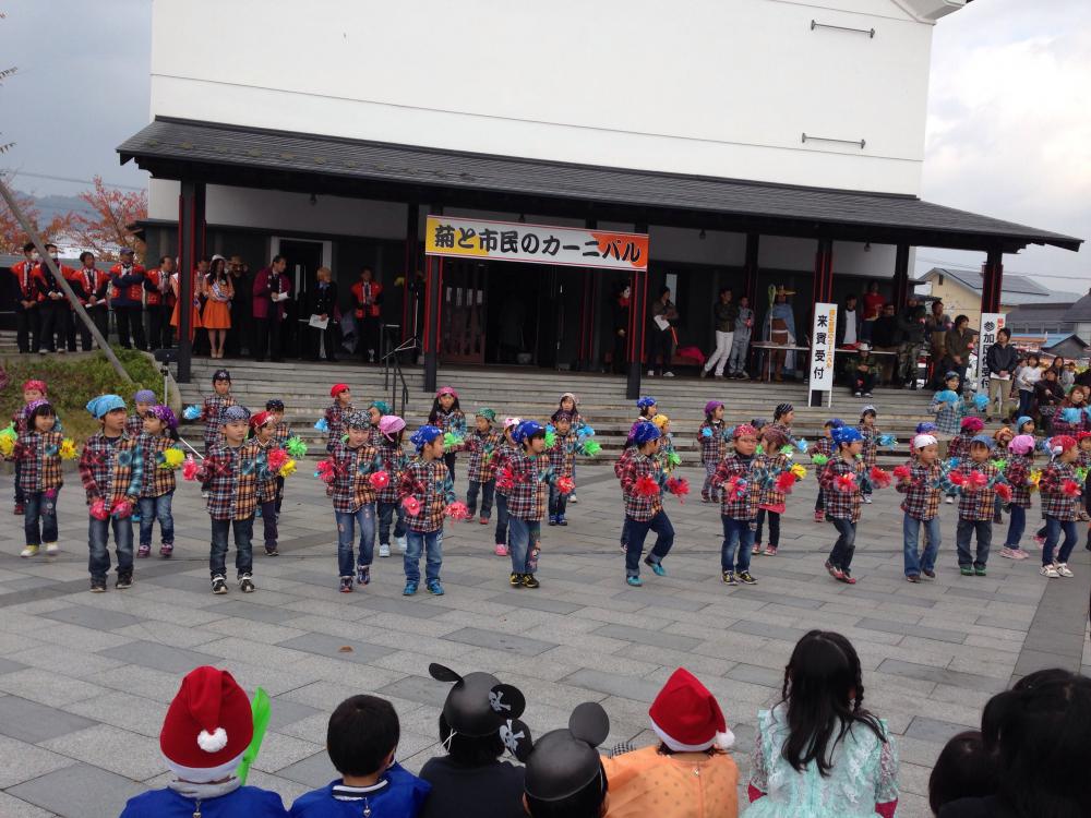 11月3日菊と市民のカーニバルが行われました！＼(^o^)／♪