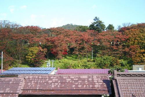 烏帽子山公園の紅葉が真っ盛り
